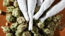 Cigarros de maconha