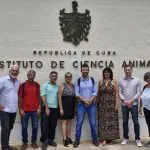 Técnicos brasileiros conheceram o trabalho desenvolvido com caprinos para ajudar a controlar a proliferação do marabu, arbusto espinhoso responsável pela contaminação de 18% das terras agricultáveis cubanas