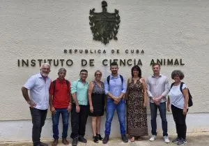 Técnicos brasileiros conheceram o trabalho desenvolvido com caprinos para ajudar a controlar a proliferação do marabu, arbusto espinhoso responsável pela contaminação de 18% das terras agricultáveis cubanas