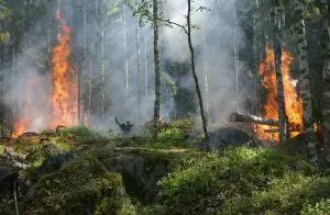 Incêndios florestais