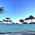 Registro de geada no Paraná