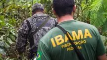 A greve foi iniciada por funcionários do Ministério do Meio Ambiente (MMA), do Instituto Brasileiro do Meio Ambiente e dos Recursos Naturais Renováveis (Ibama), do Instituto Chico Mendes de Conservação da Biodiversidade (ICMBio) e do Serviço Florestal Brasileiro | Foto: Reprodução/Redes sociais
