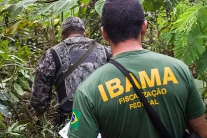 A greve foi iniciada por funcionários do Ministério do Meio Ambiente (MMA), do Instituto Brasileiro do Meio Ambiente e dos Recursos Naturais Renováveis (Ibama), do Instituto Chico Mendes de Conservação da Biodiversidade (ICMBio) e do Serviço Florestal Brasileiro | Foto: Reprodução/Redes sociais