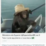 Ministério do Esporte publica imagem de macaco em barco e é chamado de racista