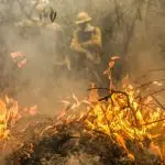 Incêndio em solo em área do Pantanal — Corumbá, 30/6/2024 | Foto: Marcelo Camargo/Agência Brasil