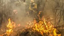 Incêndio em solo em área do Pantanal — Corumbá, 30/6/2024 | Foto: Marcelo Camargo/Agência Brasil