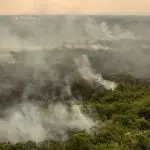 Vista panorâmica de área de mata no Pantanal com focos de fumaça