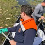 Defesa Civil usa embarcações para retirar os peixes mortos do rio Piracicaba | Foto: Divulgação/Defesa Civil de São Paulo