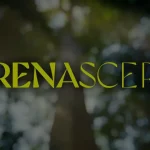 Foto do logotipo da novela Renascer, da TV Globo