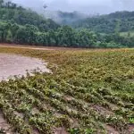 Produtores rurais do RS terão dívida repactuada