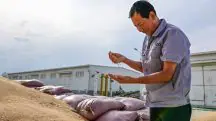 China agronegócio brasileiro