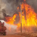 Caminhão-pipa combate incêndio em canavial no interior de São Paulo - 24/08/2024 | Foto: Joel Silva/Reuters