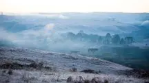 Geada na serra de Santa Catarina