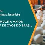 A produção de ovos no país é assunto em A Força do Agro | Foto: Divulgação/Revista Oeste