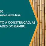 O bambu é assunto em A Força do Agro | Foto: Divulgação/Revista Oeste
