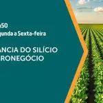 O silício é assunto em A Força do Agro desta terça-feira, 6 | Foto: Divulgação/Revista Oeste