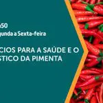 A pimenta é assunto em A Força do Agro desta sexta-feira, 9 | Foto: Divulgação/Revista Oeste