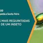 A seda é assunto em A Força do Agro | Foto: Divulgação/Revista Oeste