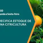 A citricultura é assunto em A Força do Agro | Foto: Divulgação/Revista Oeste