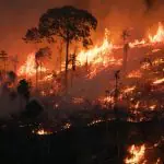 Focos de incêndio na Amazônia atingem maior patamar em 17 anos; governo lula