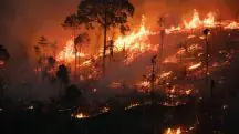 Focos de incêndio na Amazônia atingem maior patamar em 17 anos; governo lula