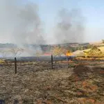 Ao fundo, um bombeiro atua para conter as chamas em Batatais | Foto: Divulgação/Corpo de Bombeiros de Batatais