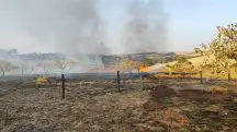 Ao fundo, um bombeiro atua para conter as chamas em Batatais | Foto: Divulgação/Corpo de Bombeiros de Batatais
