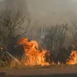 Bombeiros combatem novos incêndios no Pantanal de Mato Grosso do Sul