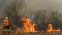 Bombeiros combatem novos incêndios no Pantanal de Mato Grosso do Sul