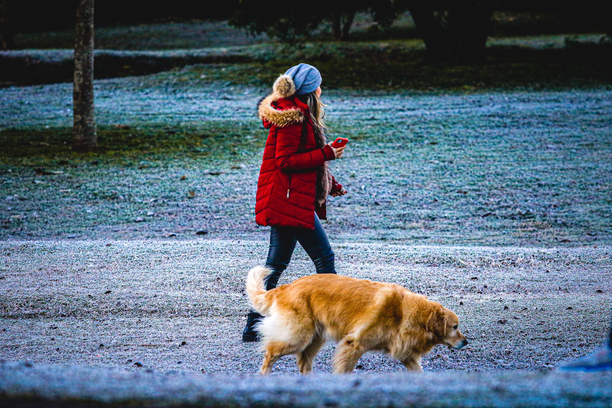 Massa de ar polar avança e amplia áreas com temperaturas negativas no Brasil