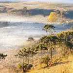 Imagem da região serrana de Santa Catarina: mais de 50 cidades registraram temperaturas negativas em agosto