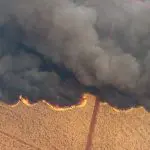 Imagem aérea mostra um incêndio em uma plantação de cana-de-açúcar, perto da cidade de Dumon. É possível também ver fumaça - 24/8/2024 | Foto: Joel Silva/Reuters