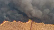 Imagem aérea mostra um incêndio em uma plantação de cana-de-açúcar, perto da cidade de Dumon. É possível também ver fumaça - 24/8/2024 | Foto: Joel Silva/Reuters