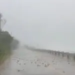 Furacão Debby atinge a Flória