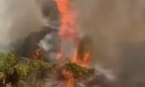 Incêndio fazenda Caiapônia Goiás