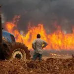 Incêndios em São Paulo, na cidade de Dumont
