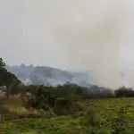 Incêndio em local do Estado de São Paulo, que sofre com fogo