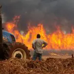 Um homem assiste aos incêndios em uma plantação de cana-de-açúcar, perto da cidade de Dumon - 24/8/2024 | Joel Silva/Reuters FUNDO AMAZÔNIA