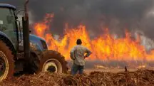 Um homem assiste aos incêndios em uma plantação de cana-de-açúcar, perto da cidade de Dumon - 24/8/2024 | Joel Silva/Reuters FUNDO AMAZÔNIA