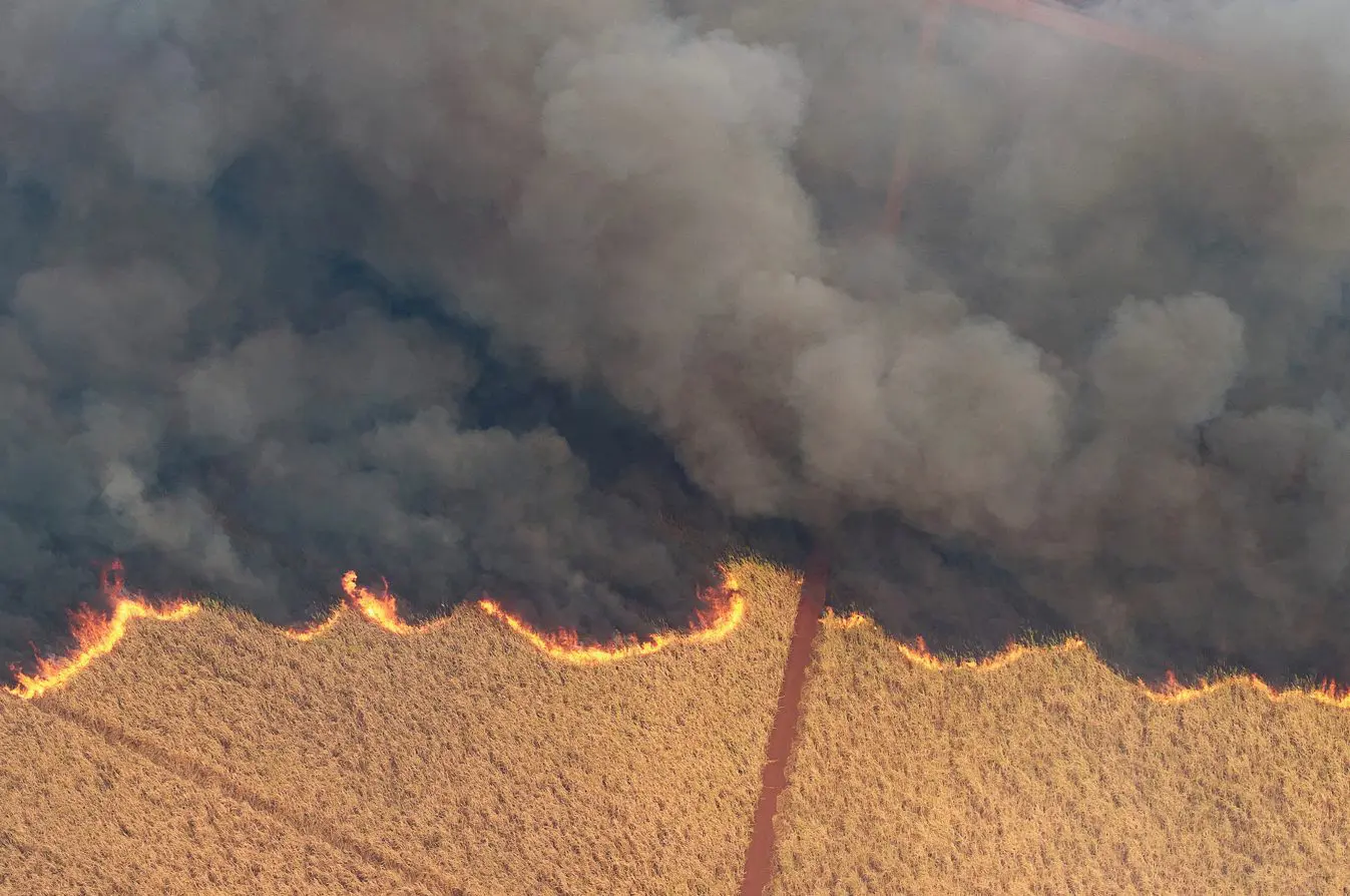 Drone mostra a vista aérea de um dos incêndios em uma plantação de cana-de-açúcar, perto da cidade de Dumon - 24/8/2024 | Foto: Joel Silva/Reuters