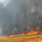 Votuporanga é uma das cidades que foram afetadas pelos incêndios florestais | Foto: Reprodução/Redes sociais