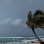 Céu nublado, com árvore envergada pelos ventos