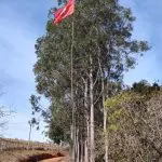 Invasão em fazenda de universidade no Espírito Santo