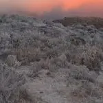 Frente fria leva neve a Santa Catarina neste fim de semana