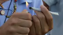 Porte de maconha: STJ fixa 40g para diferenciar usuários de traficantes