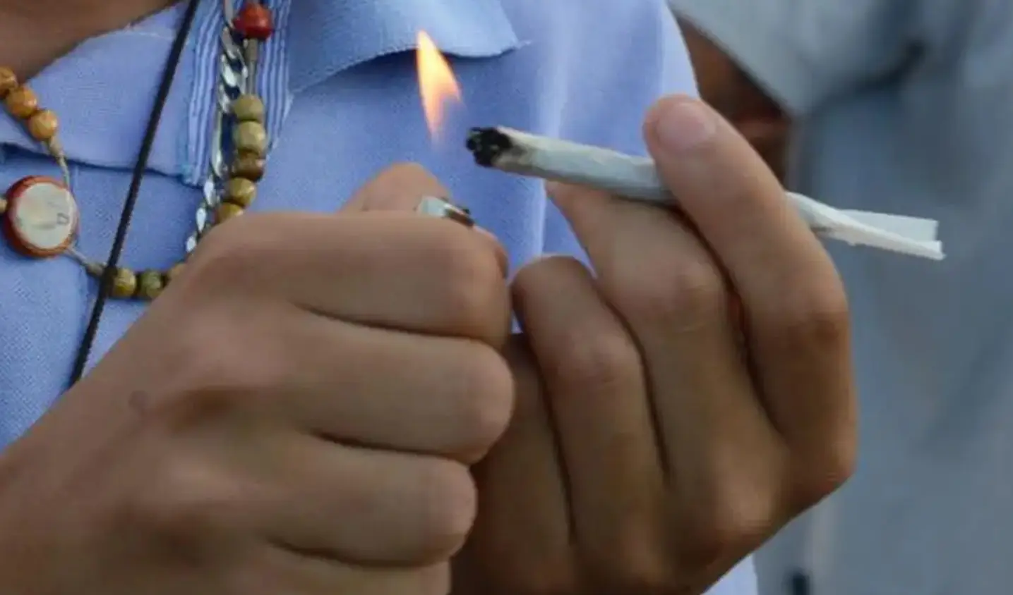 Porte de maconha: STJ fixa 40g para diferenciar usuários de traficantes