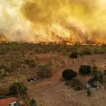 Pantanal incêndios