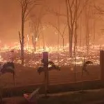 Ribeirão Preto teve 14 focos de incêndio espalhados pela cidade | Foto: Reprodução/Redes sociais