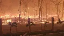 Ribeirão Preto teve 14 focos de incêndio espalhados pela cidade | Foto: Reprodução/Redes sociais