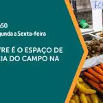 Imagem de divulgação da edição de 26/8/2024 do programa A Força do Agro, que vai abordar o tema feira livre | Foto: Divulgação/Revista Oeste